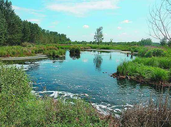 河道湖泊水體污染治理方法