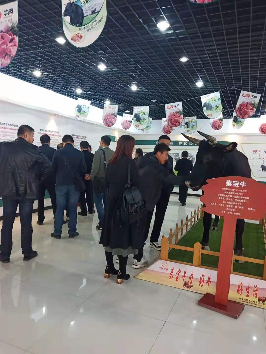 1572576782895285.jpg 微信图片_20191026131406.jpg
