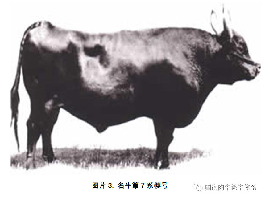 ΢ͼƬ_20200506171258.jpg