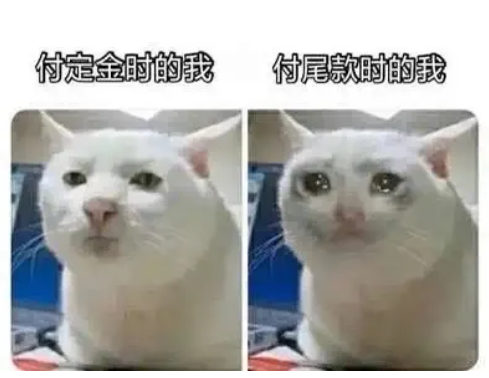 10.png