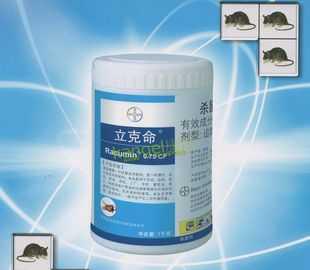 白蟻的危害及最全最有效的滅白蟻方法