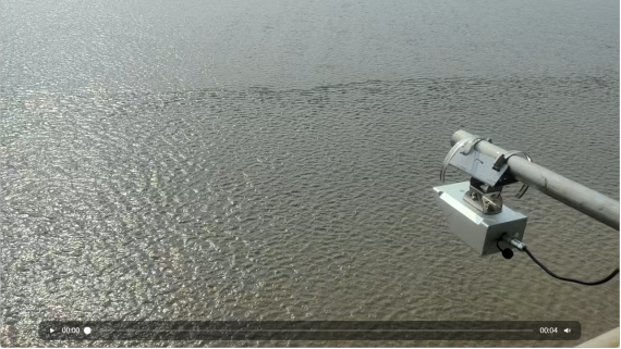 1754617336171823.png image.png