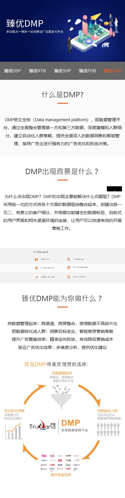 DMP.jpg