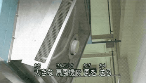 11.gif