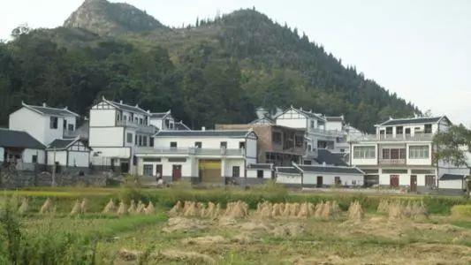 1631002012621653.jpg 1.jpg