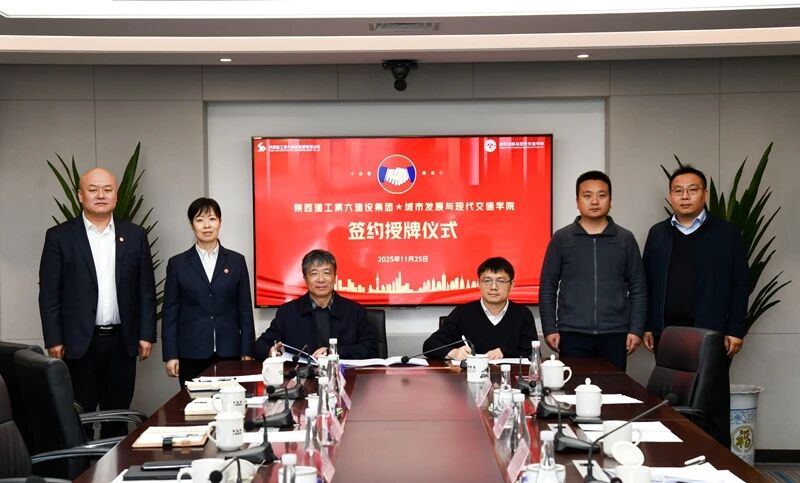 1764119664956319.jpg 10.jpg