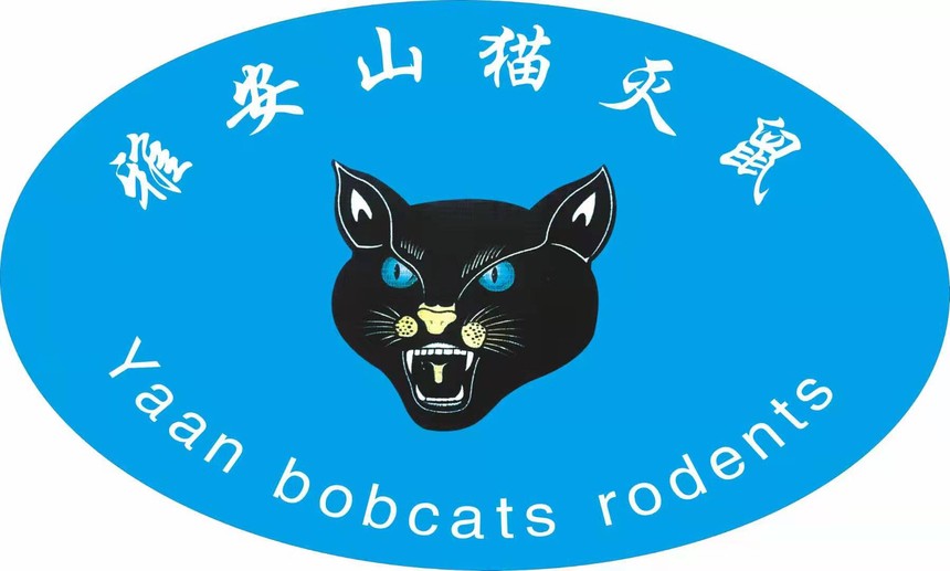 Ű,Ű˾,Ű,Ű湫˾,Ű,Űĺ