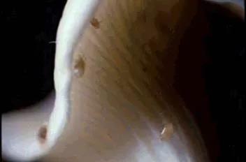 ΢ͼƬ_20200322154430.jpg