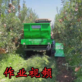 作業(yè)視頻