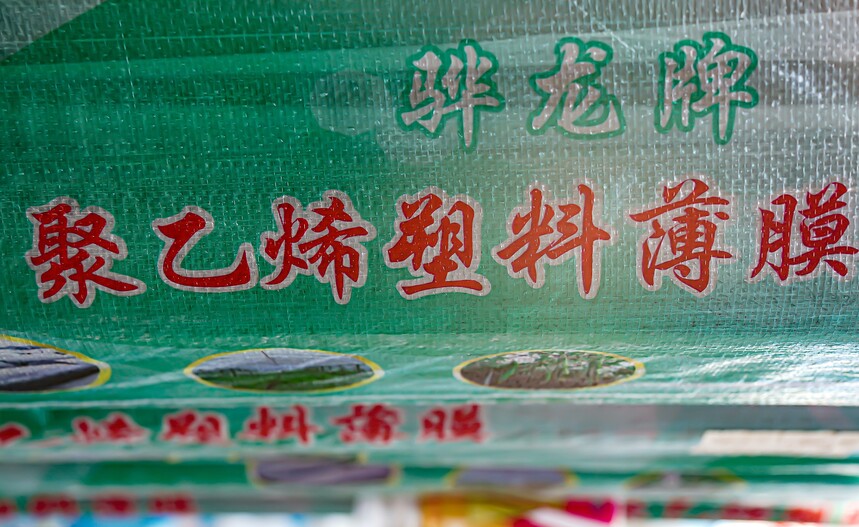 DSC07035 ؐ.jpg