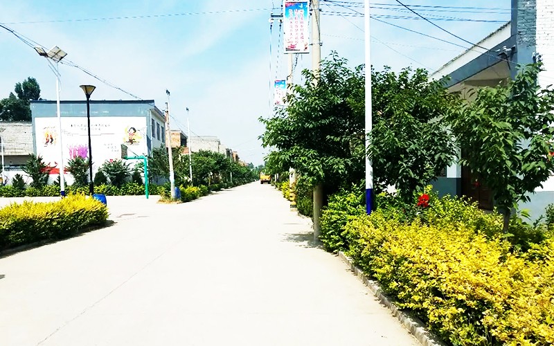 2024سǻת豸-22ʽѹ