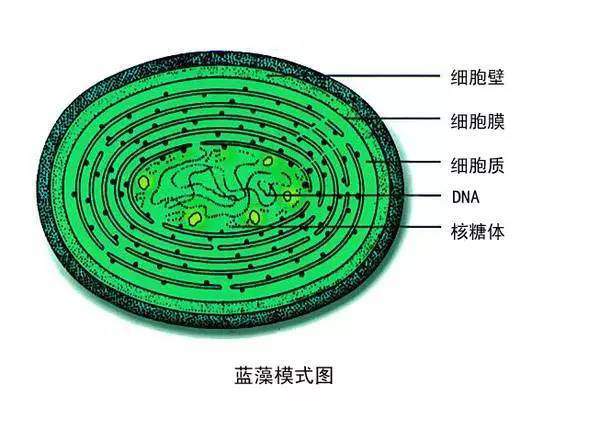1583160746827238.png 图片2.png
