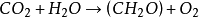 ͼƬ75.png