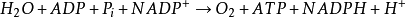 ͼƬ77.png