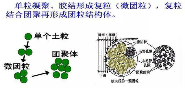 团闹结构图片