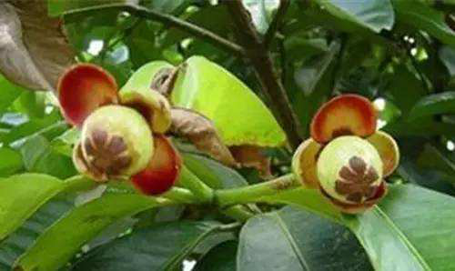 ͼƬ3.png