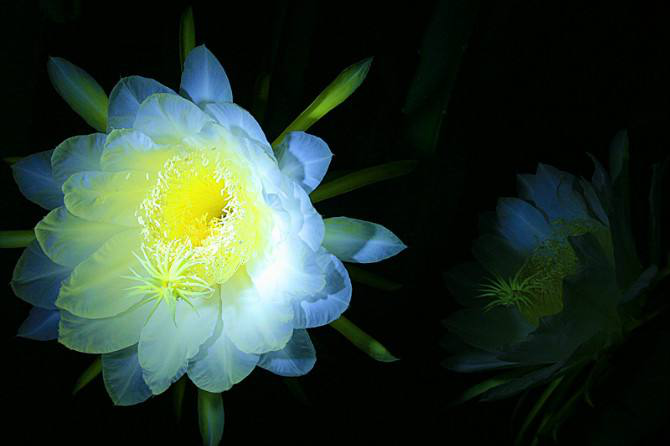 1595387634785104.png 图片2.png