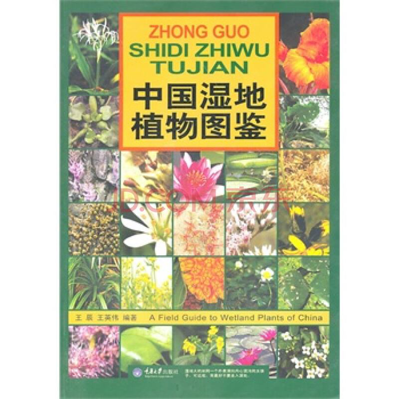 1601440158693515.png 图片9.png