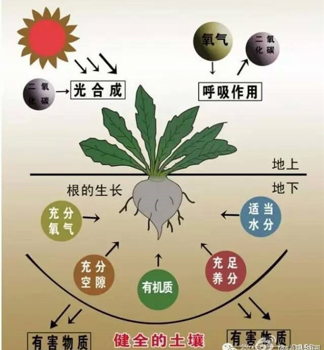 1636511572893123.png 图片3.png