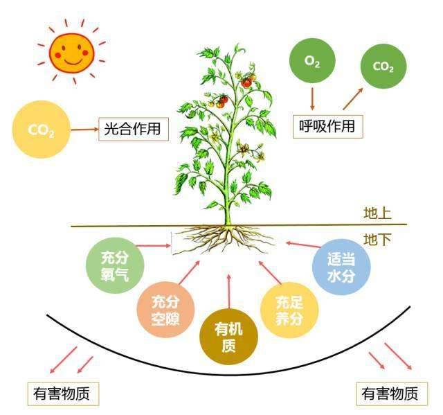 1636511595493166.png 图片4.png