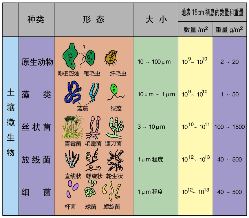 1636511620429889.png 图片5.png