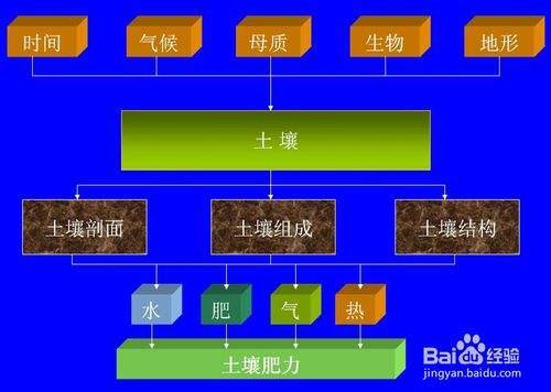 1636511808547645.png 图片13.png