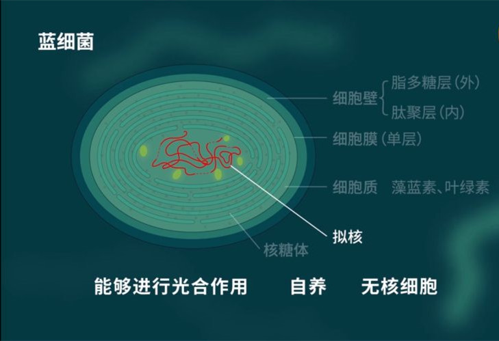 1636761358276695.png 图片2.png