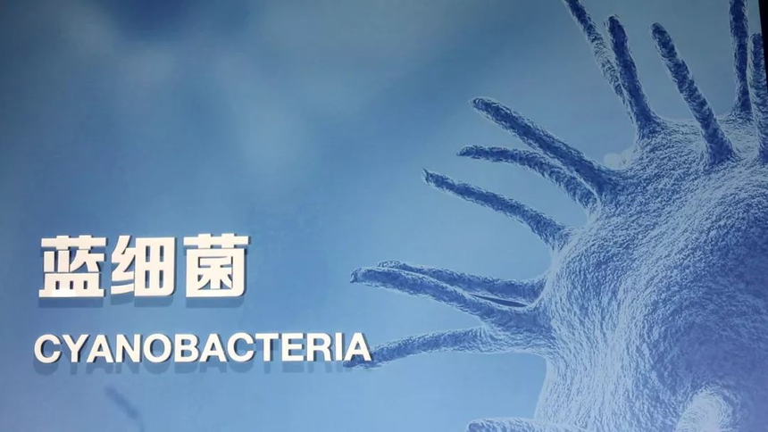 1636761394201342.png 图片4.png