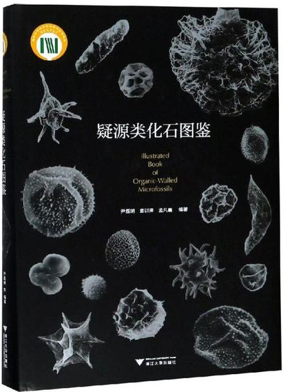 1636761476296199.png 图片6.png
