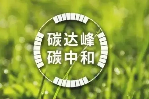 ͼƬ3.png