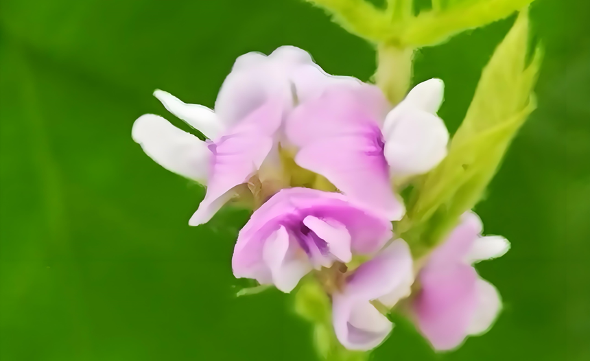 ͼƬ5.png