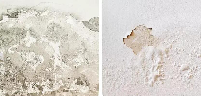 1721304198335110.jpg 2.jpg