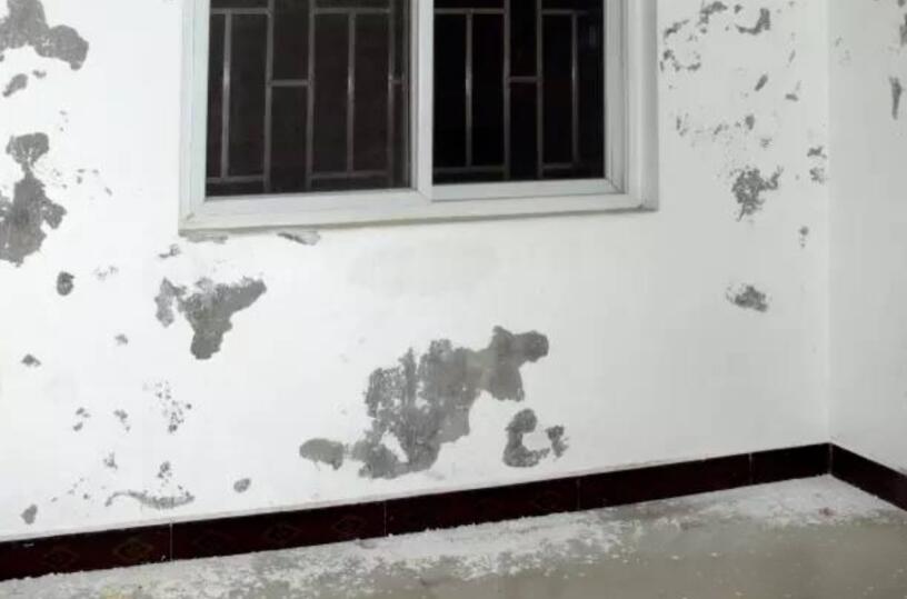 1721304215795964.jpeg 3.jpeg