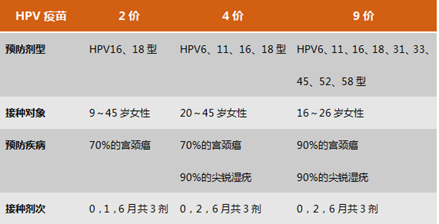 HPV۸.png