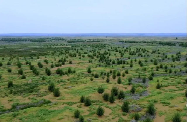 ɳĮ޵ͯ.jpg