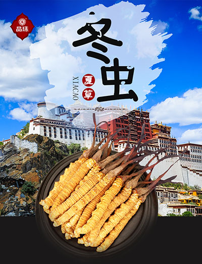 鶬Ĳ1-1.jpg