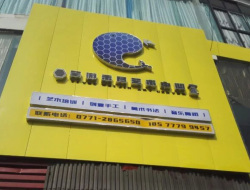 南寧植物路淺黃大方板案例