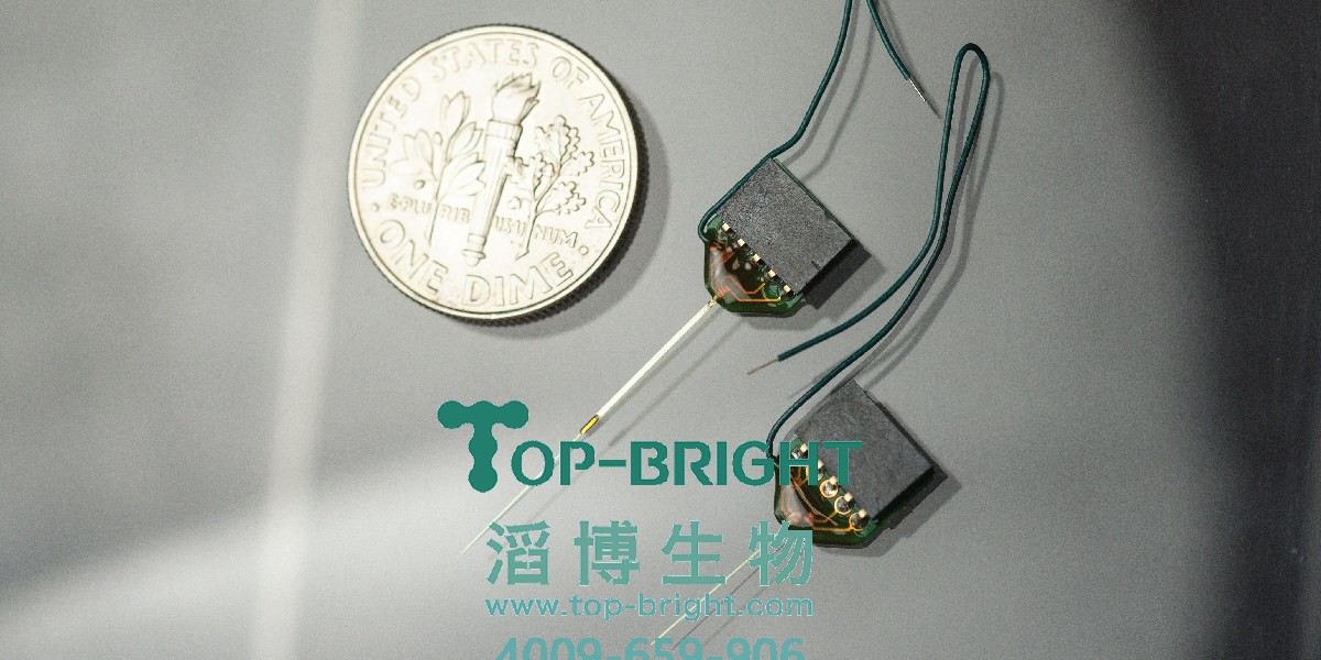 1584100662610176.jpg Qtrodes-01~1.jpg