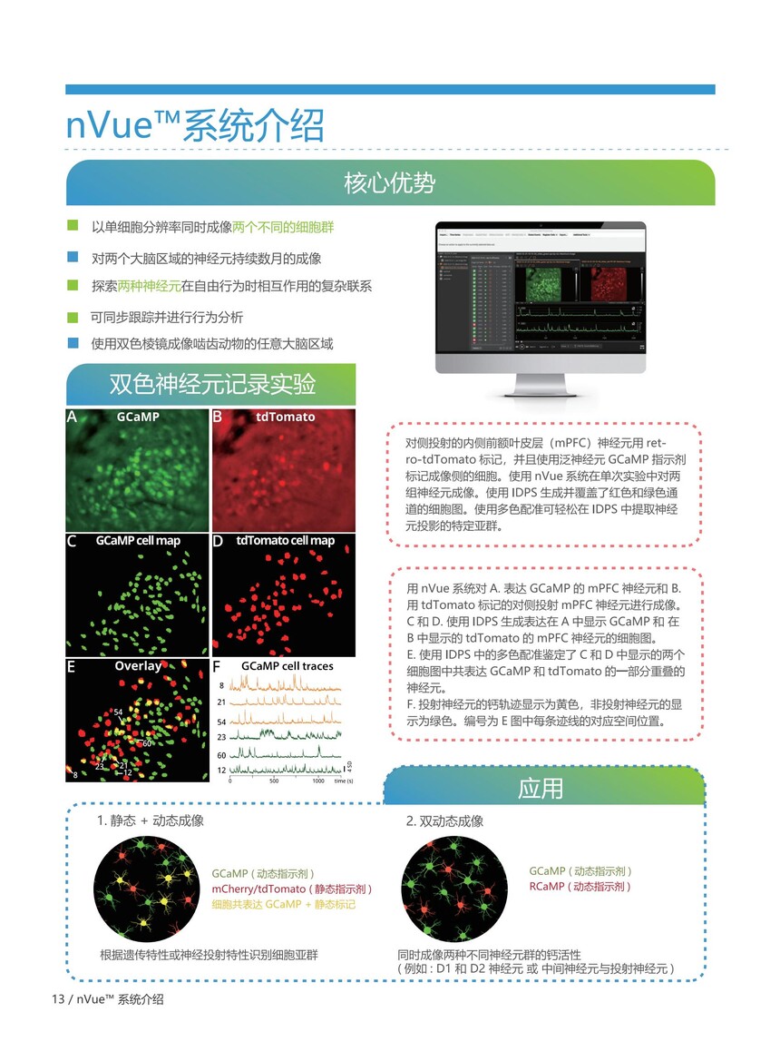 1704964375864794.jpg inscopix中文彩页-滔博生物2024.2-zhuanqu_13.jpg