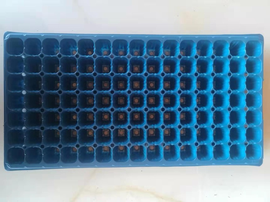΢ͼƬ_20190917104015.jpg