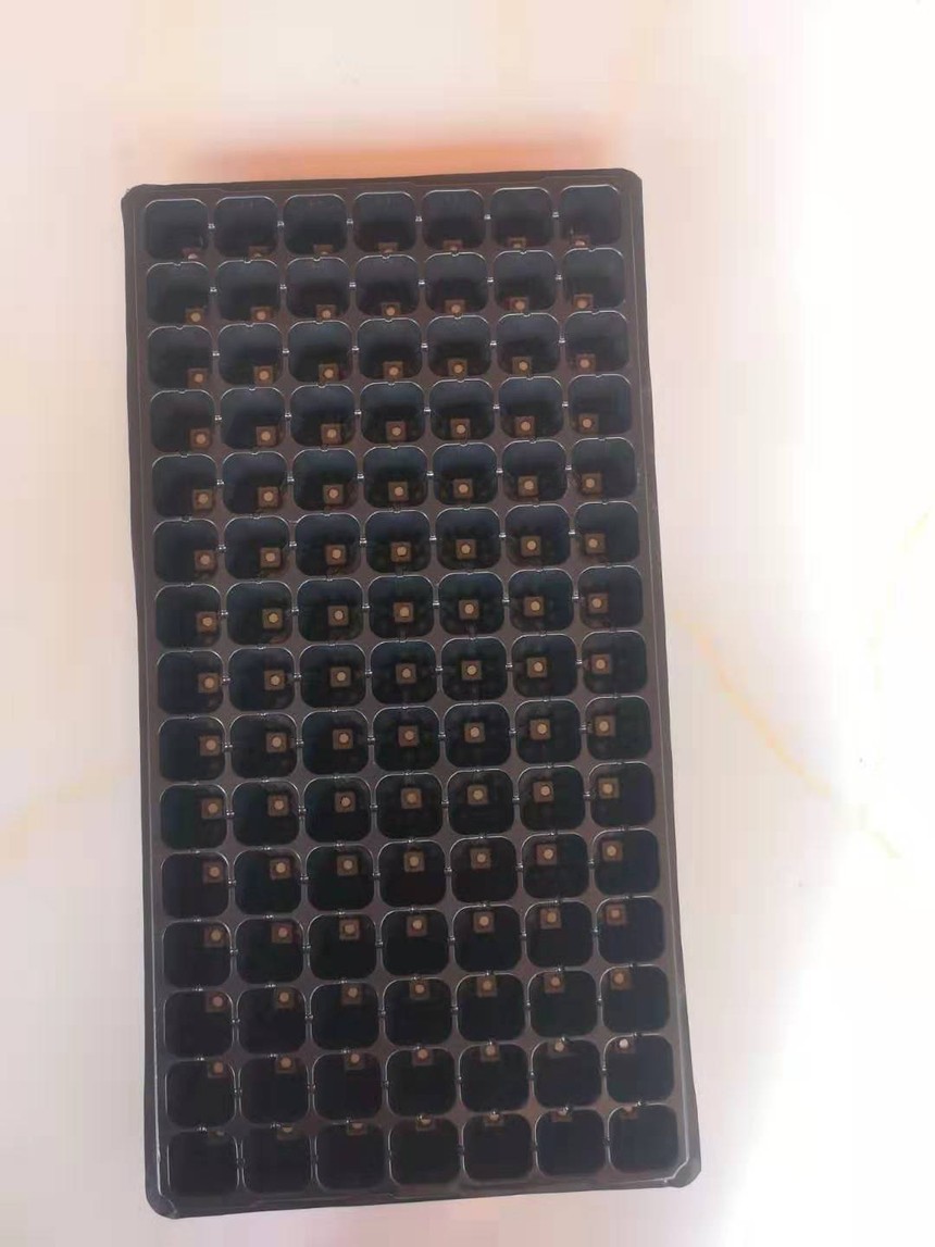 5d3dd75e2870858b5675609089161de.jpg