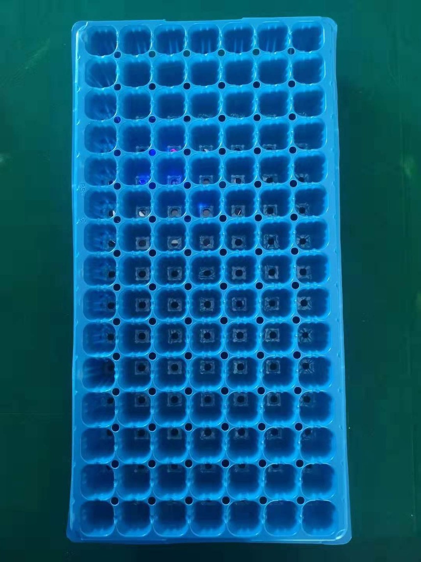 01fd67f3f4e2241f578a5c5f8767d31.jpg