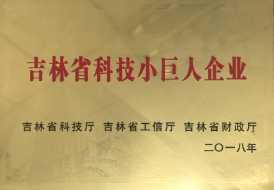 企業(yè)小巨人