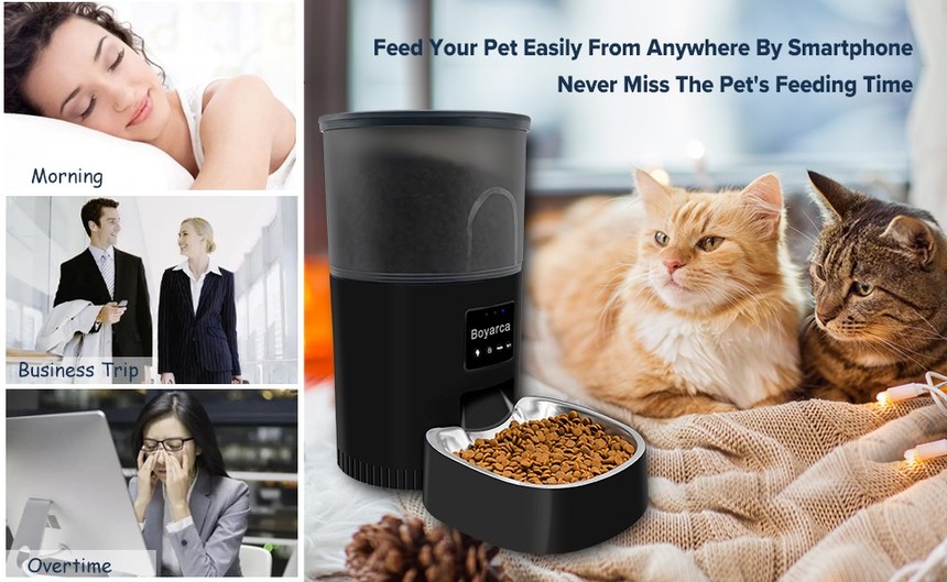 automatic cat feeders9.jpg