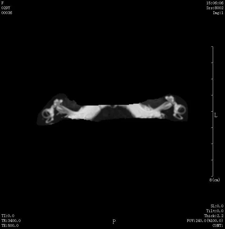 1614649357320098.jpg 微信图片_20210302094223.jpg