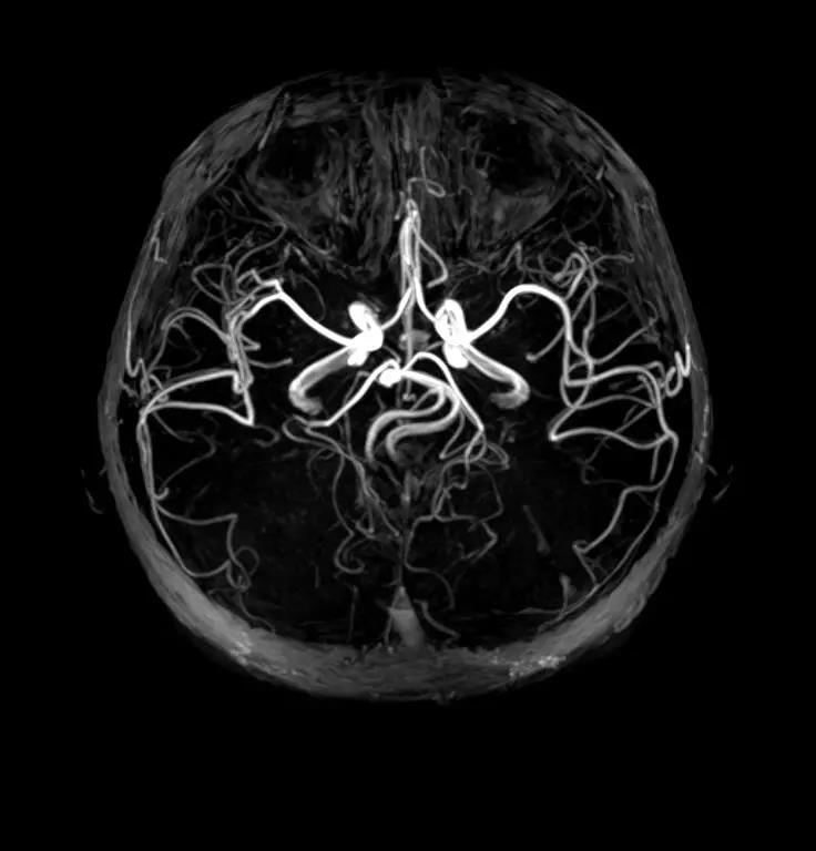 1614649548390003.jpg 微信图片_20210302094525.jpg