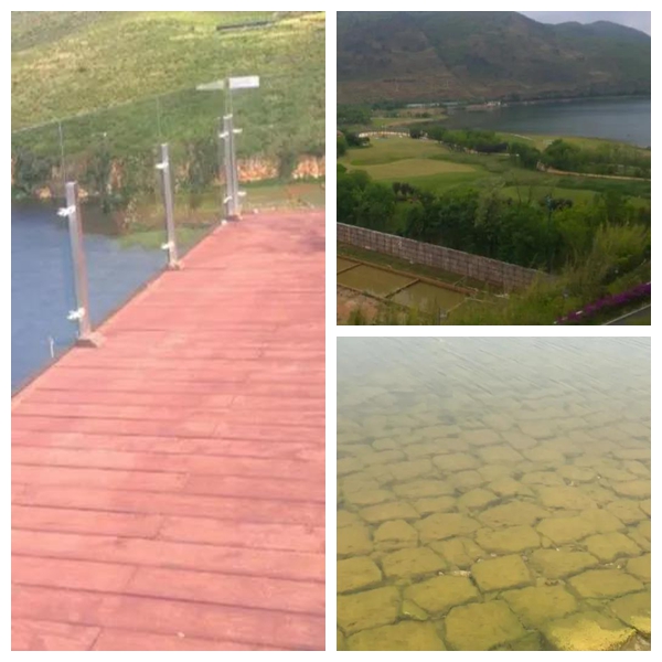 1600909335191416.jpg 4.jpg