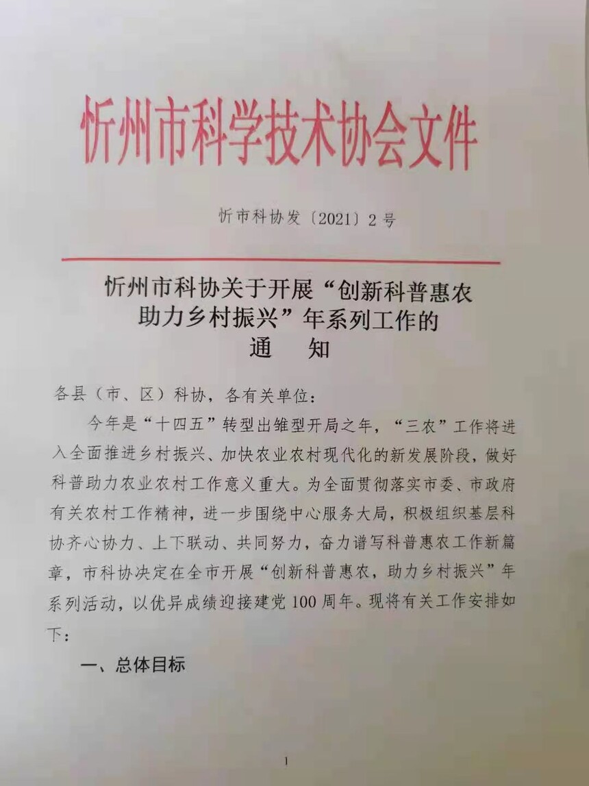 101987924.jpg