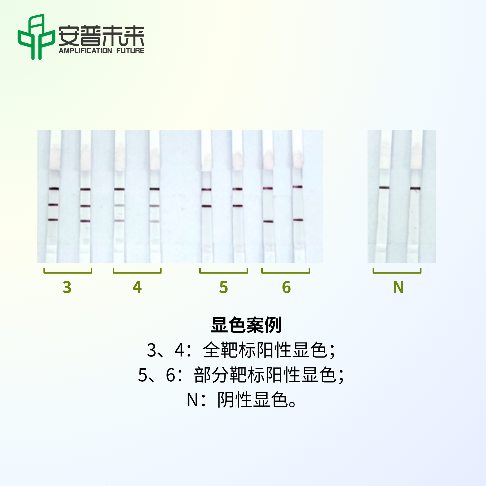 双重核酸检测胶体金试纸条_安普未来