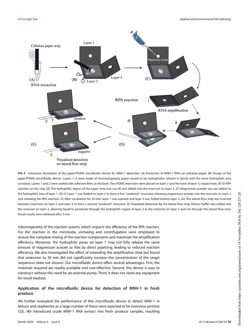 Hybrid paperPDMS microfluidic device integrated with RNA extraction and recombinase polymerase amplification for detection of norovirus in foods-囄-9.jpg